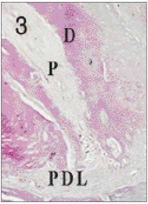 jkacd-27-355-g003.jpg