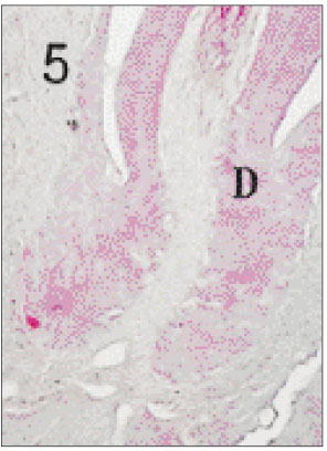 jkacd-27-355-g005.jpg