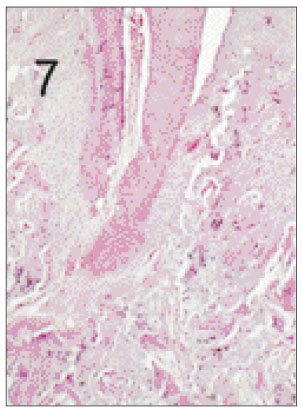 jkacd-27-355-g007.jpg