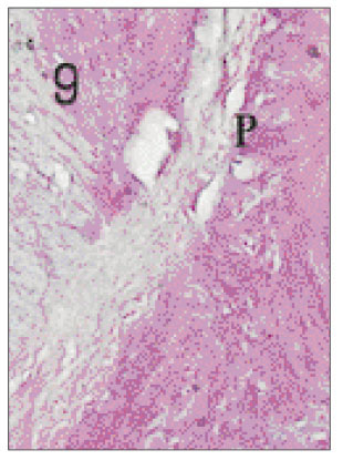 jkacd-27-355-g009.jpg