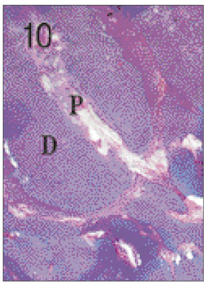 jkacd-27-355-g010.jpg