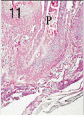 jkacd-27-355-g011.jpg