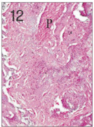 jkacd-27-355-g012.jpg