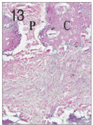 jkacd-27-355-g013.jpg