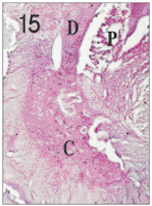 jkacd-27-355-g015.jpg