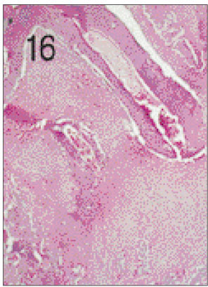 jkacd-27-355-g016.jpg