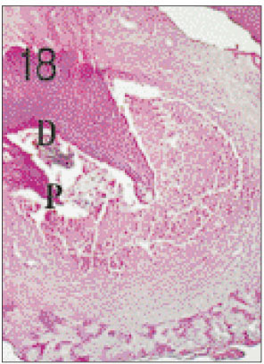 jkacd-27-355-g018.jpg