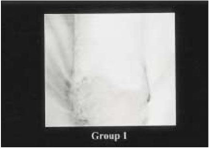 jkacd-27-389-g003.jpg