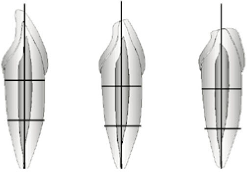 jkacd-27-432-g001.jpg