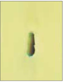 jkacd-27-432-g006.jpg