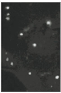 jkacd-27-451-g001.jpg
