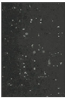 jkacd-27-451-g003.jpg