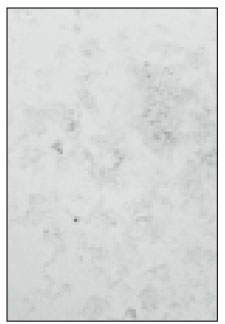 jkacd-27-451-g004.jpg