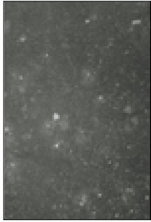 jkacd-27-451-g007.jpg