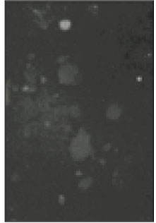 jkacd-27-451-g009.jpg