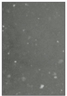 jkacd-27-451-g011.jpg