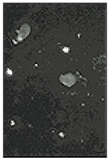jkacd-27-451-g013.jpg