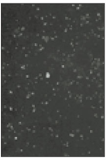 jkacd-27-451-g015.jpg