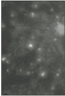 jkacd-27-451-g017.jpg