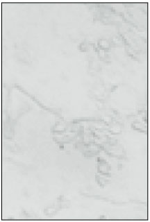 jkacd-27-451-g022.jpg