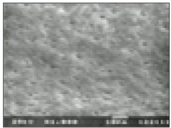 jkacd-27-535-g001.jpg