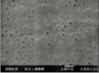 jkacd-27-535-g005.jpg