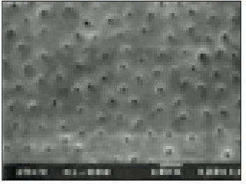 jkacd-27-535-g006.jpg