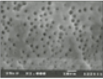 jkacd-27-535-g007.jpg