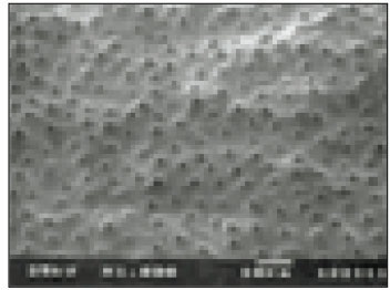 jkacd-27-535-g008.jpg