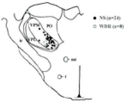 jkacd-27-587-g001.jpg