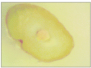 jkacd-27-66-g007.jpg