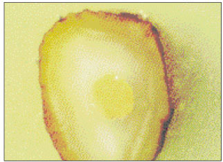 jkacd-27-66-g009.jpg