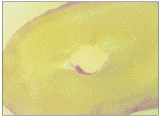 jkacd-27-66-g010.jpg