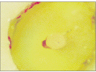 jkacd-27-66-g011.jpg