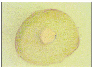 jkacd-27-66-g013.jpg