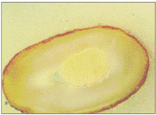 jkacd-27-66-g015.jpg