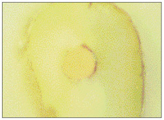 jkacd-27-66-g016.jpg