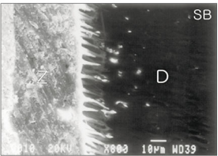 jkacd-28-222-g001.jpg