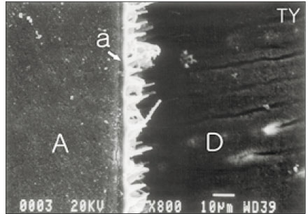 jkacd-28-222-g004.jpg