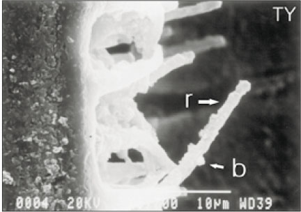 jkacd-28-222-g006.jpg