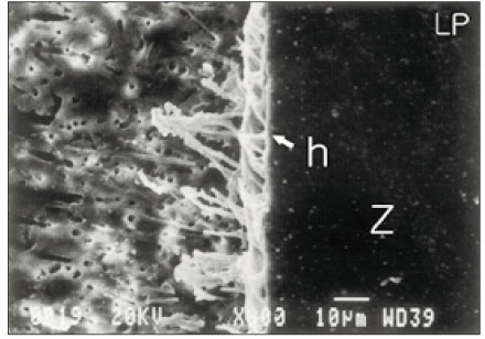 jkacd-28-222-g007.jpg
