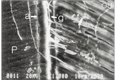 jkacd-28-222-g010.jpg