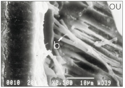 jkacd-28-222-g012.jpg