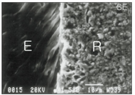 jkacd-28-23-g001.jpg
