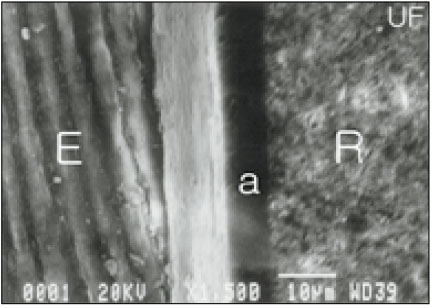 jkacd-28-23-g004.jpg