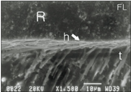jkacd-28-23-g008.jpg