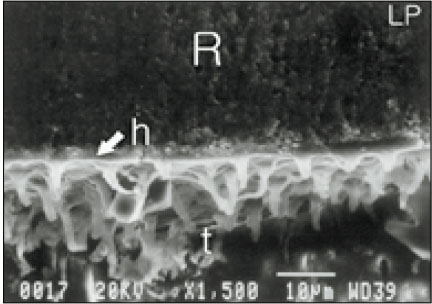 jkacd-28-23-g011.jpg