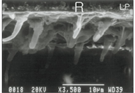 jkacd-28-23-g012.jpg