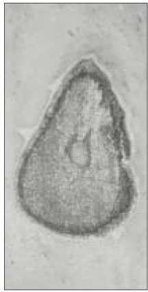 jkacd-28-232-g003.jpg