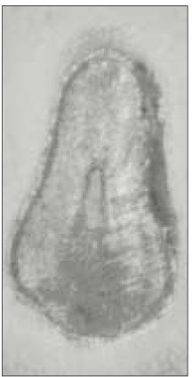 jkacd-28-232-g004.jpg